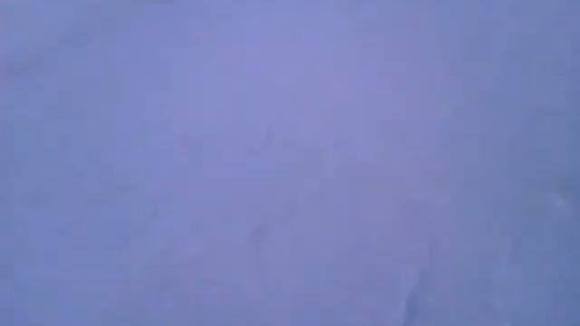 Мечка 2013