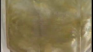 Сколько можно есть семечек в день и какая от них польза?