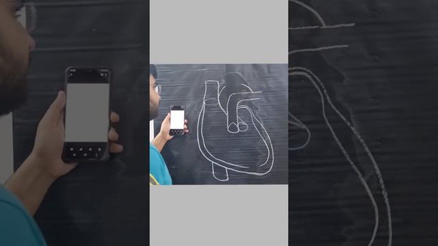 How to draw Human heart diagram drawing class 10 science