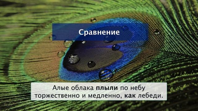 Сравнение. Литература 5 класс.