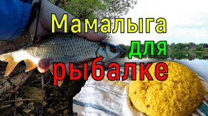 Мамалыга для мирной рыбы. Тесто для рыбалке. Приготовление рецепт мамалыги.