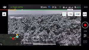 Полёт на Мавике 2 Энтерпрайз в мороз, в лесу!