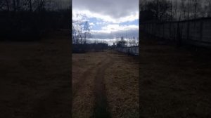 ЖК Лесные Поляны,Пушкинский район,ул Солнечная