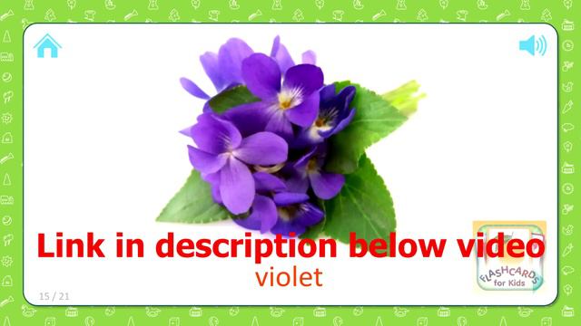 Flowers For Kids [21 Cards] Flowers For Babies - Flashcards For Kids