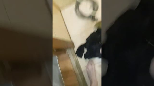 стиральная машина волна. смотреть онлайн