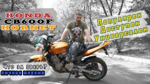 [Личное мнение] Honda CB600f hornet  Один из самых популярных городских