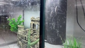 Аквариум 56 литров