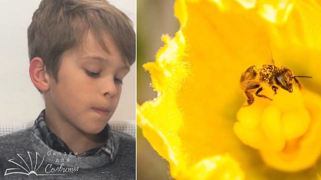 Які ж ви щасливі! | Василь Сухомлинський | Оповідання смотреть онлайн