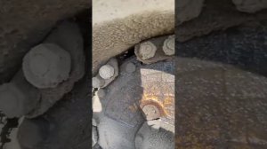 БелАЗ 45 тонник ,для начинающих,справка и учебная часть, ТТХ.