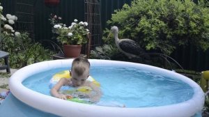 Глеб плавает в жару в бассейне #kidslinashow #gleb