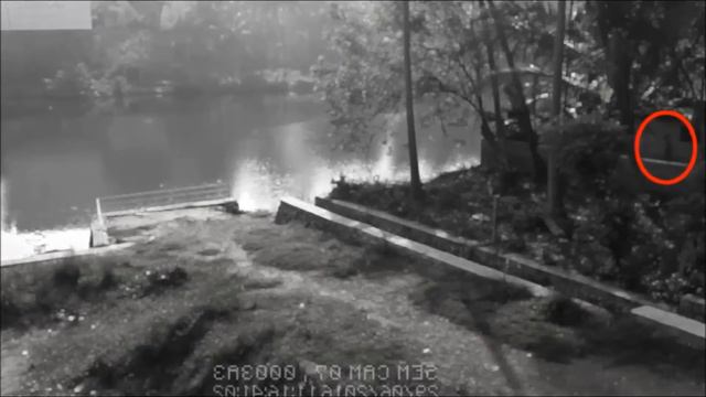 7 ЖУТКИХ МОМЕНТОВ снятых на видео║Топ страшные существа!