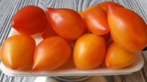 МЕГАУРОЖАЙНЫЕ сорта томатов с двухцветной мякотью, которые мне понравились