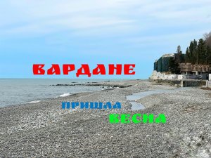 В Сочи пришла весна! Вардане сегодня. Идем на пляж.