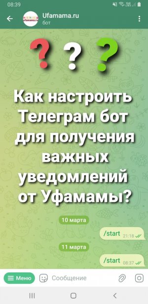 Как настроить Телеграм бот Уфамамы?