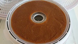 Пастила из яблок в сушилке