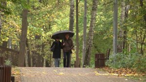 Аномальная погода ожидается сразу в нескольких российских регионах