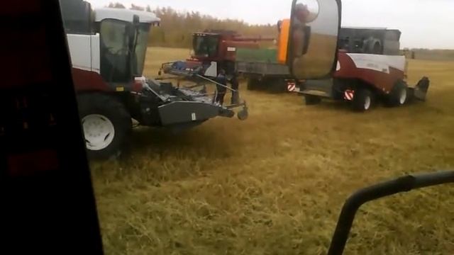 Уборка урожая 2014 Иванов и К,Курганская обл. смотреть онлайн