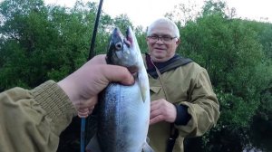 ГОРБУША В РУЧЬЕ