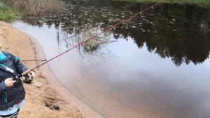 Катушка Silver Stream ANAKONDA-S NEW