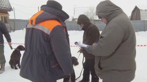 13 Воскресенская выставка 24.02.2023г. Дратхаары