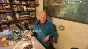 ЯНИС УЗУЛНЕКС РОЗЫ 2. Отличие зимней прививки от летней окулировки