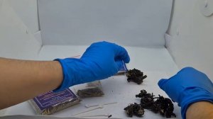 Морозник кавказский с мерной ложкой