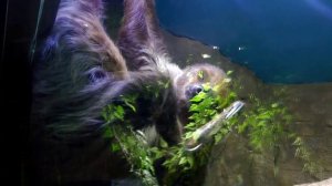 ЭКЗОпарк ТРЦ Рио