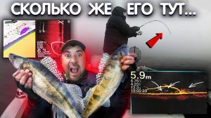 НАКОСИЛ СУДАКА с одной точки. ЖОР судака осенью. СУДАК на ДЖИГ с лодки. Рыбалка на судака.