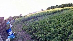 Утро. Огород. Смотровая Яма.