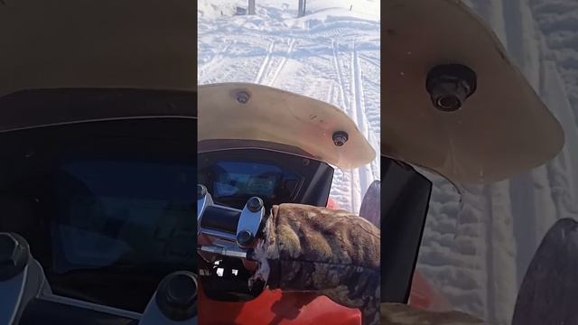 стелс капитан переключение скорости без дерганья и треска. смотреть онлайн