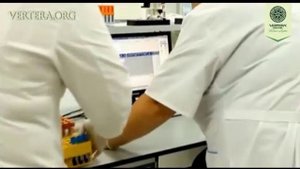 ГЕЛЬ ЛАМИНАРИЯ. ВСЕ СЕКРЕТЫ ВОДОРОСЛЕЙ