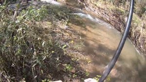 19.09.2017 рыбалка в приморском крае. ловля пеструшки на горной речке.