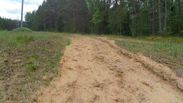 Первая в этом году кучка лисичек. смотреть онлайн