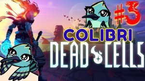 Хочу увидеть второй биом  ► Dead Cells │#3