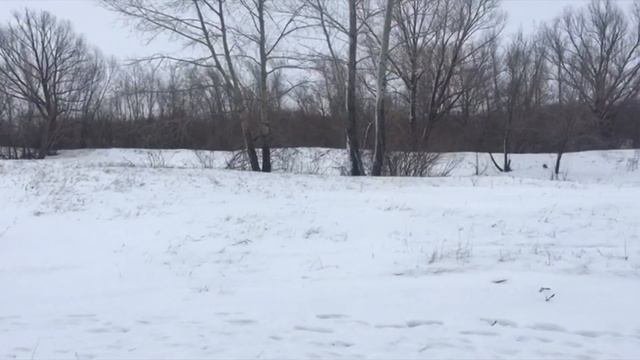 Мужчина нашел в лесу девушку. То, что он с ней сделал, потрясло ВСЕХ!!!