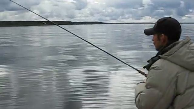 Окунь под чайкой на Рыбинском море смотреть онлайн