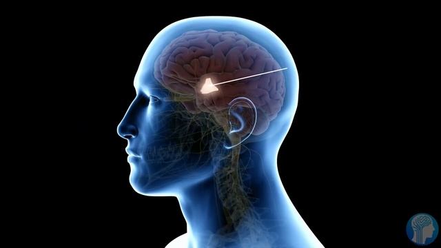 The Weird Future of Digital Immortality - AI-Preservation