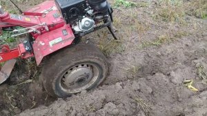 Испытание плуга после переделки. Осенняя вспашка огорода с закапыванием травы.