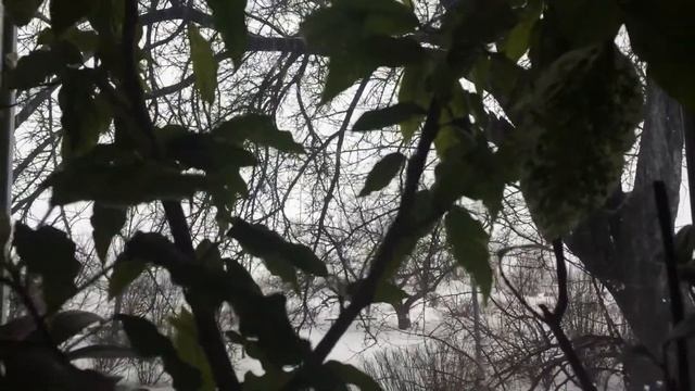 Мои фантазии смотреть онлайн