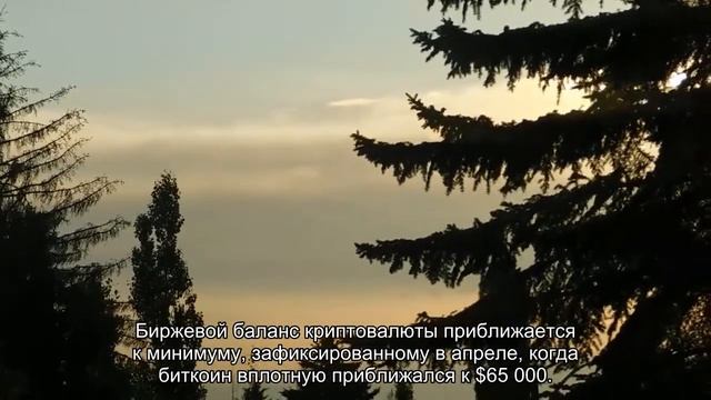 Трейдеры с конца мая начали выводить биткоины с бирж