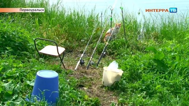 День рыбака 12 07 19 смотреть онлайн