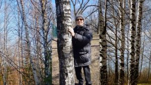 22 апреля - День Земли. Энергия деревьев! Какие деревья помогают восполнить энергию человека
