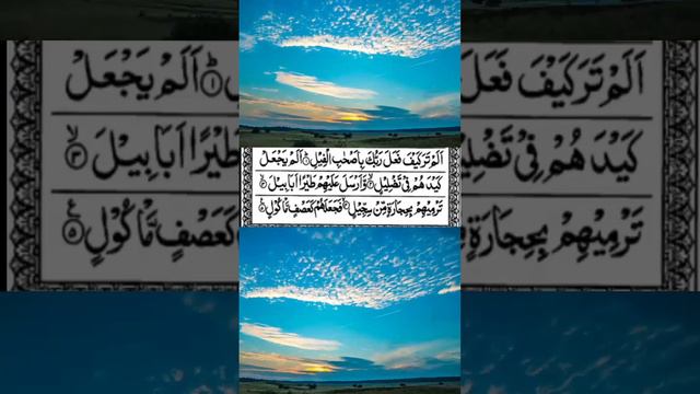 Surah feel || Para 30 || Voice Over By Rafiuddin || Recitation Telawat || سورۃالفیل105