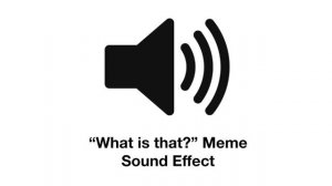 What is that? Sound Effect (Original Upload)