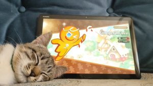 С моим котиком делаем ПЕЧЕНЬКИ В ИГРЕ COOKIE RUN: KINGDOM ♡˖꒰ᵕ༚ᵕ⑅꒱