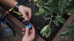 Как установить автополив на грядке Своими руками ✔️ Система автополива от Garden-zoo