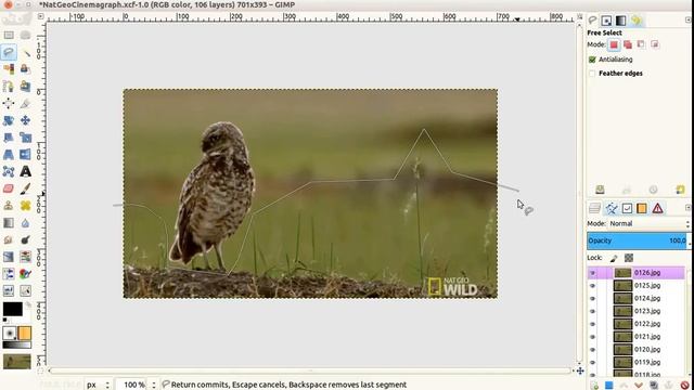 How to Create a Cinemagraph in GIMP