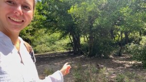 ОСТРОВ ОБЕЗЬЯН В НЯЧАНГЕ! Чего ожидать? Стоит ли ехать? MONKEY ISLAND