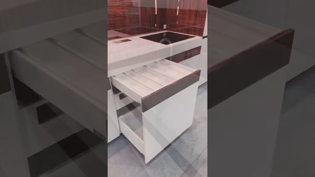 Кухня с зоной TV Hamiltoun, шпон макассар, глянцевый лак смотреть онлайн