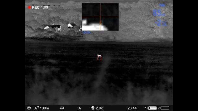 Experience the all new Pulsar Thermion 2 PRO this weekend at The Game Fair смотреть онлайн